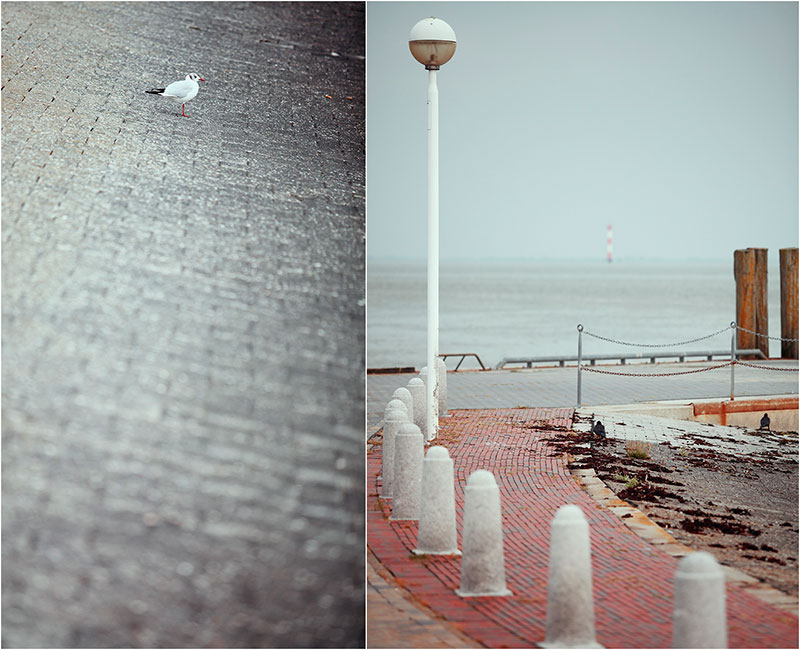 Fotograf Mirko Raatz
