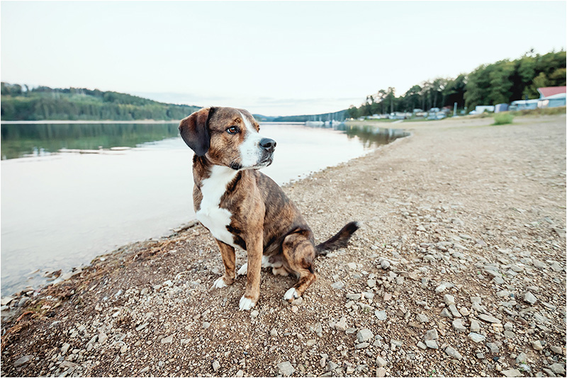 Fotograf Mirko Raatz