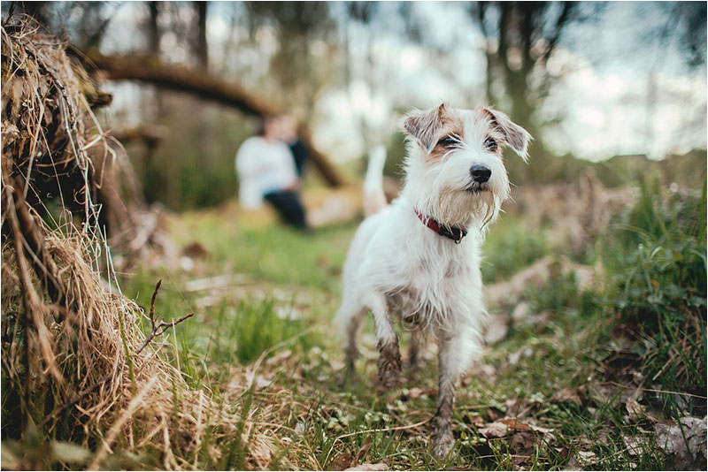 Fotograf Mirko Raatz