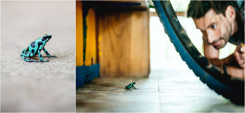 Fotograf Mirko Raatz