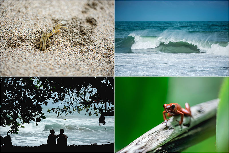 Fotograf Mirko Raatz