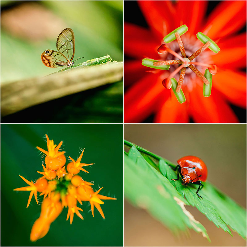 Fotograf Mirko Raatz