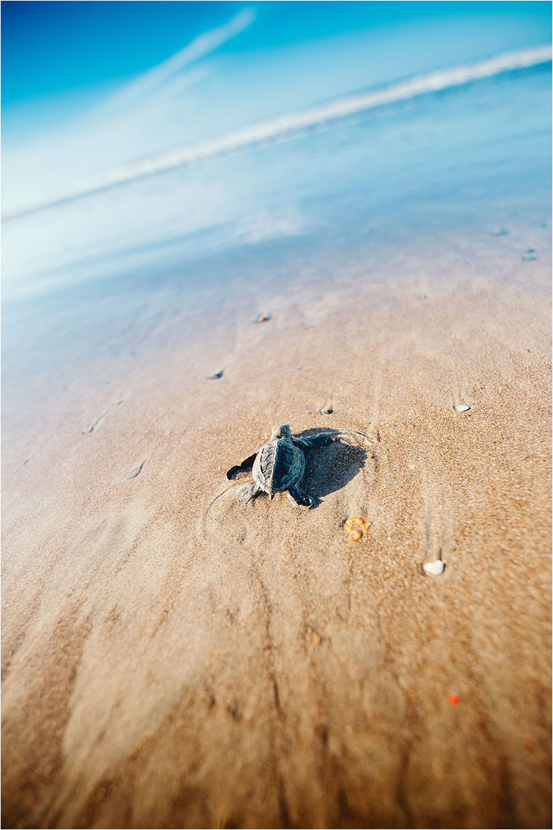 Fotograf Mirko Raatz