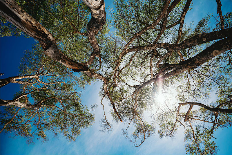 Fotograf Mirko Raatz