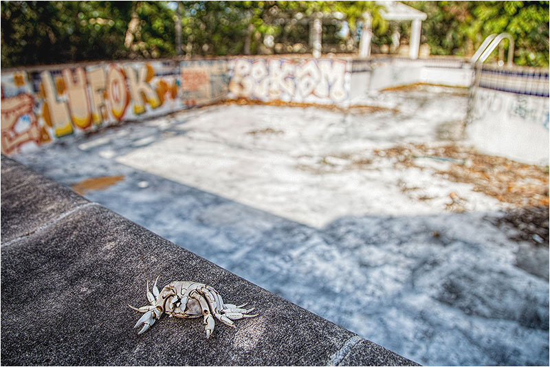 Fotograf Mirko Raatz