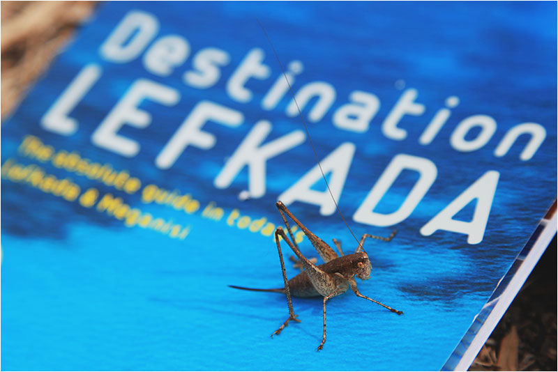 Fotograf Mirko Raatz