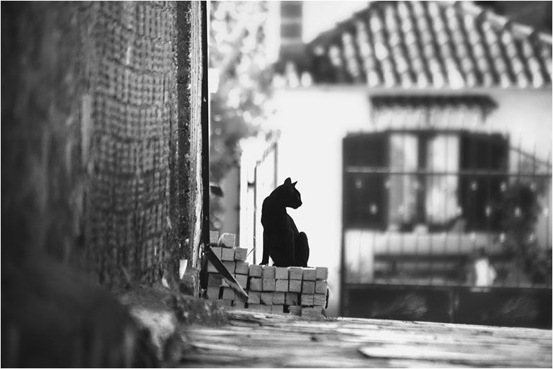 Fotograf Mirko Raatz