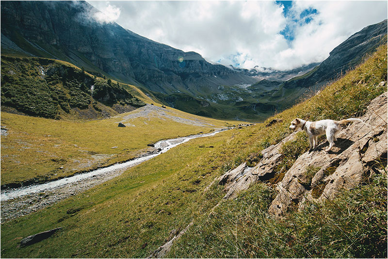 Fotograf Mirko Raatz