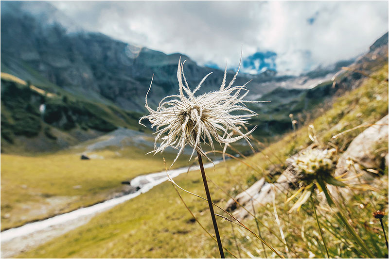 Fotograf Mirko Raatz