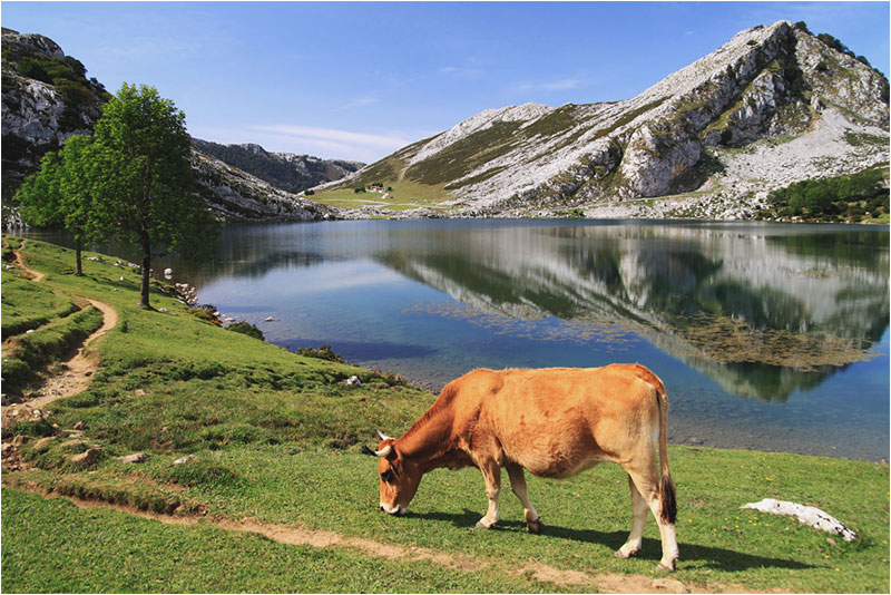 Fotograf Mirko Raatz