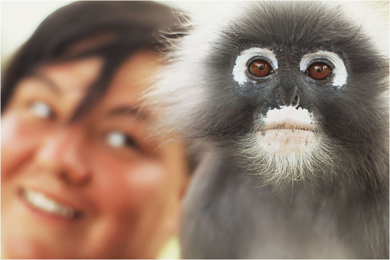 Fotograf Mirko Raatz