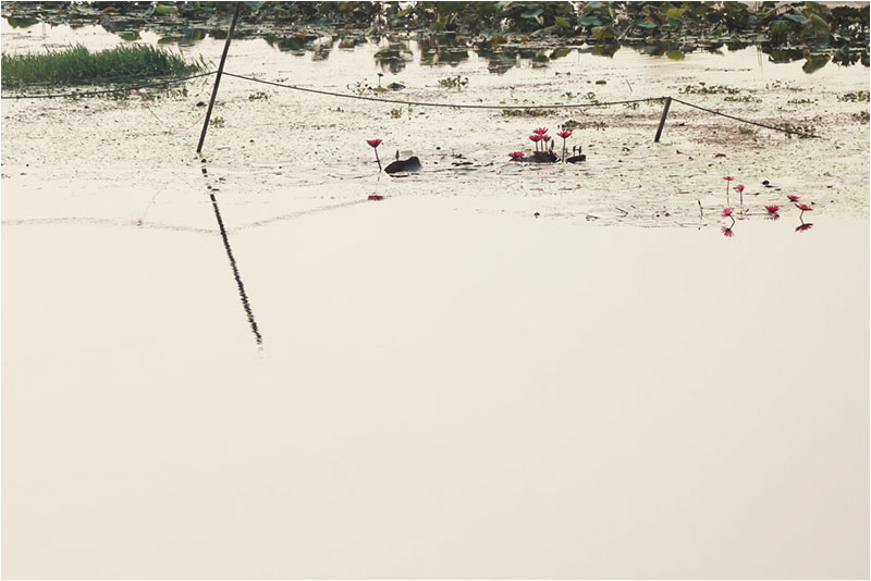 Fotograf Mirko Raatz