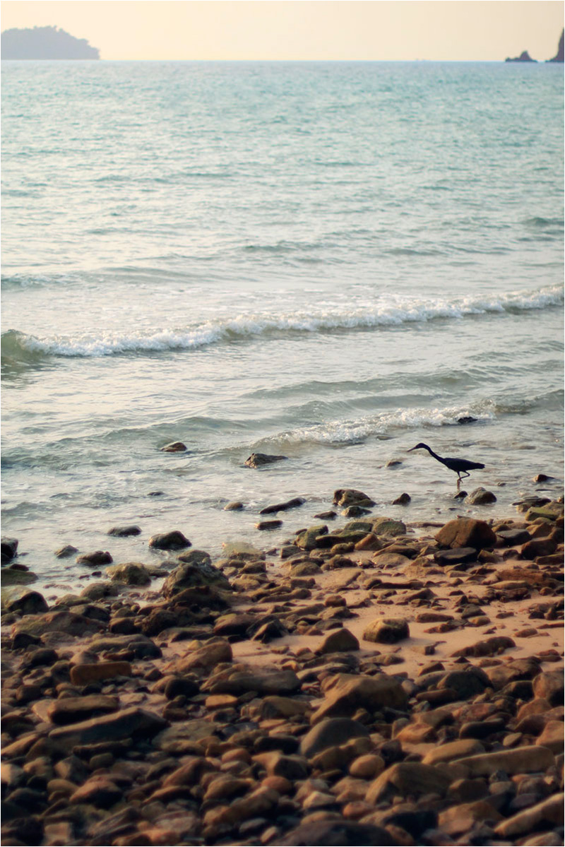 Fotograf Mirko Raatz