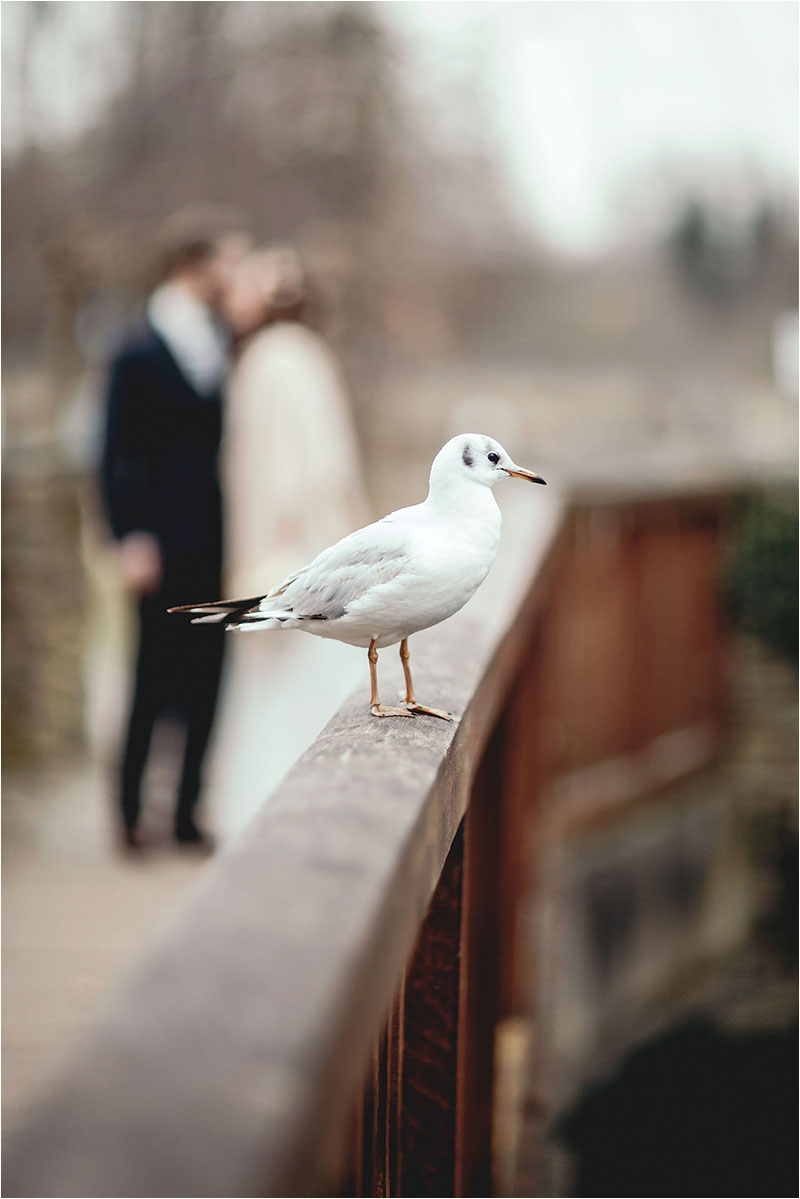 Fotograf Mirko Raatz